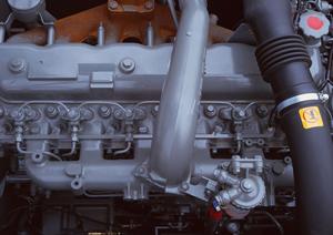 非電飾シート印刷のある通販サイト