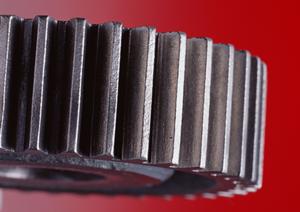 カラーもサイズも種類が豊富なパイロン